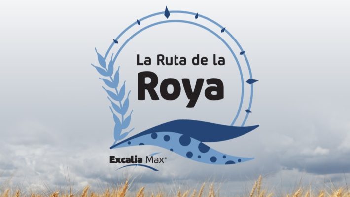 la ruta de la roya